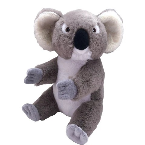 Koala Ecokins